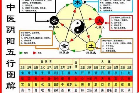 海中金命 屋上之鼠